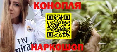 гидра Шахты