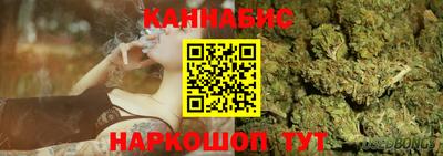 гидра Шахты
