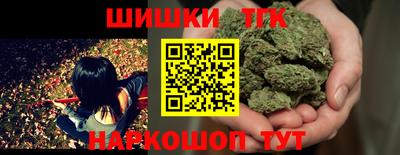 гидра Шахты
