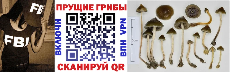 Галлюциногенные грибы MAGIC MUSHROOMS ссылка на мегу как войти Краснокамск