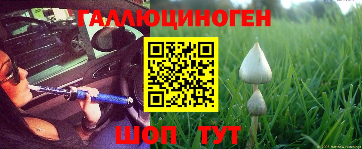Краснокамск  Псилоцибиновые грибы Psilocybe  Вход с VPN  Галлюциногенные грибы Magic Shrooms 